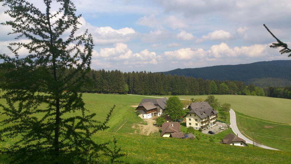 Bauernhof Hoenigshof フィッシュバッハ エクステリア 写真