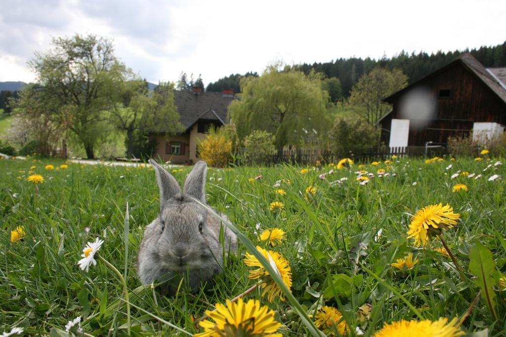 Bauernhof Hoenigshof フィッシュバッハ エクステリア 写真