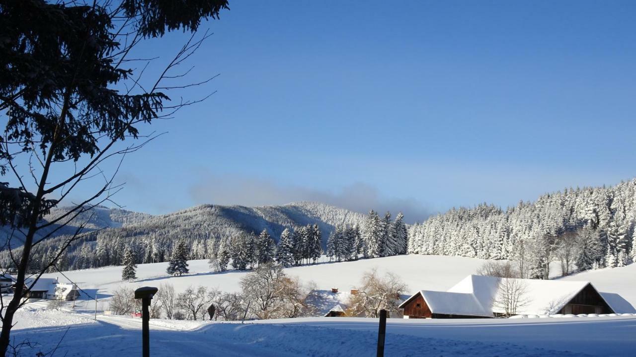 Bauernhof Hoenigshof フィッシュバッハ エクステリア 写真