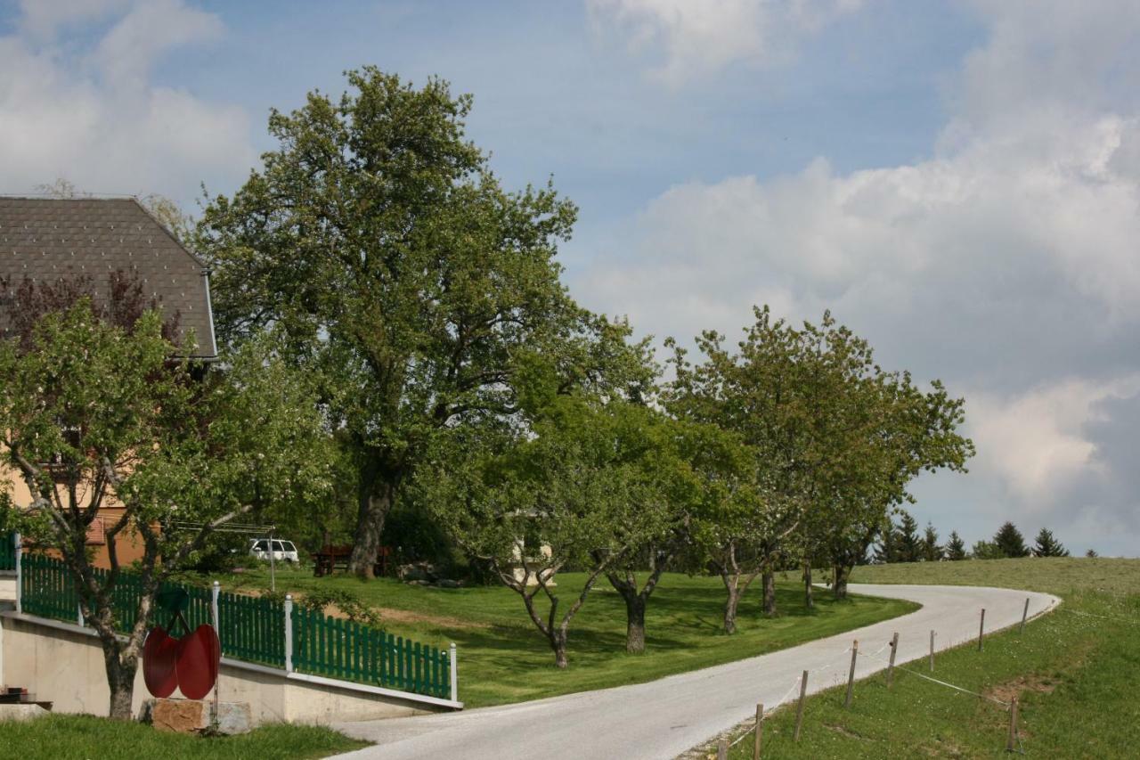 Bauernhof Hoenigshof フィッシュバッハ エクステリア 写真