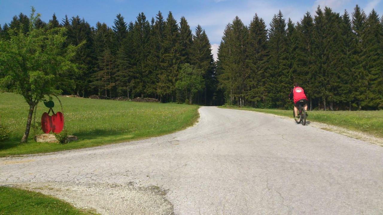 Bauernhof Hoenigshof フィッシュバッハ エクステリア 写真