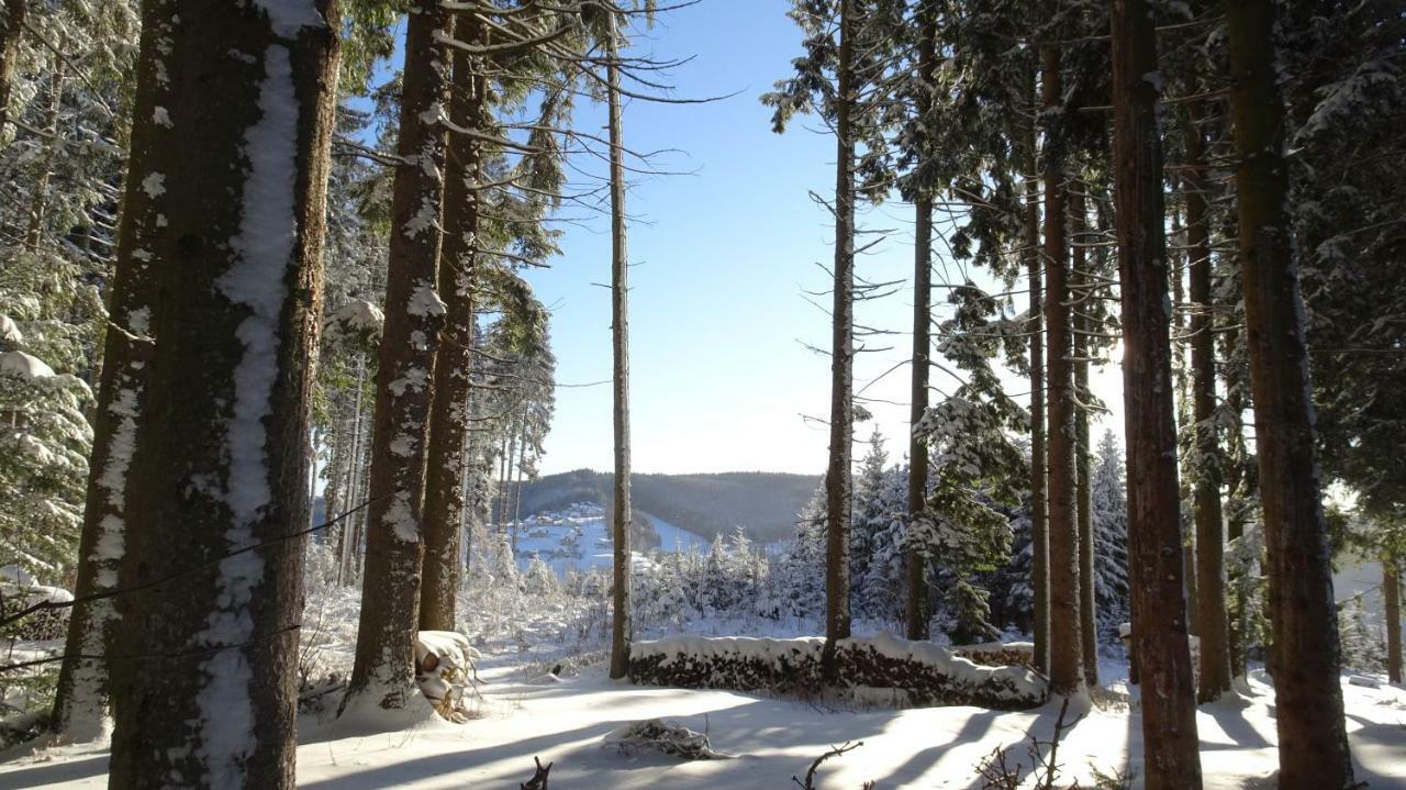 Bauernhof Hoenigshof フィッシュバッハ エクステリア 写真